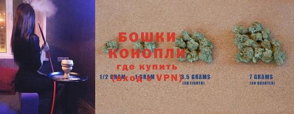 дживик Майский