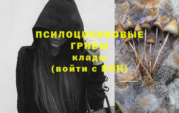 дживик Майский