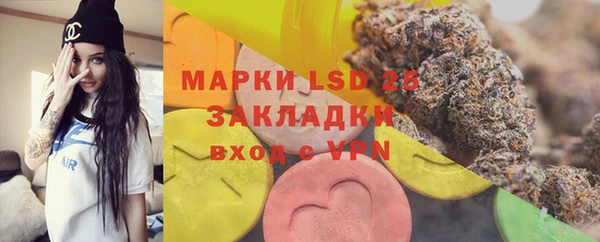 дживик Майский