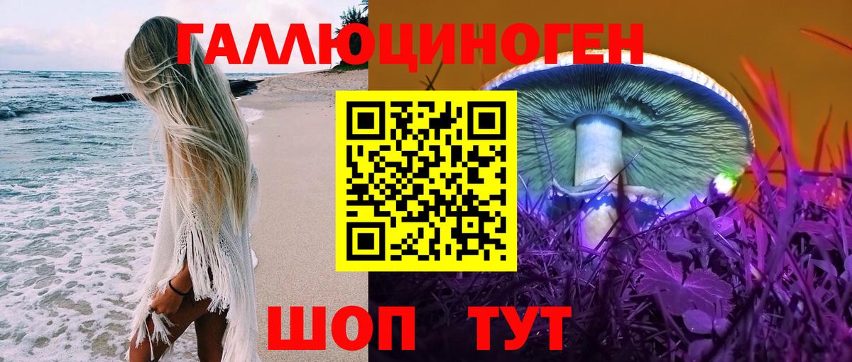 Назрань  Псилоцибиновые грибы GOLDEN TEACHER  Вход с VPN 
