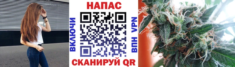 Каннабис гибрид  купить наркоту  Назрань 