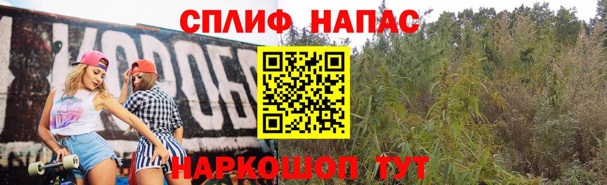 Бошки Шишки LSD WEED  Марихуана MAZAR  Назрань  МАРИХУАНА планчик  Вход с VPN 